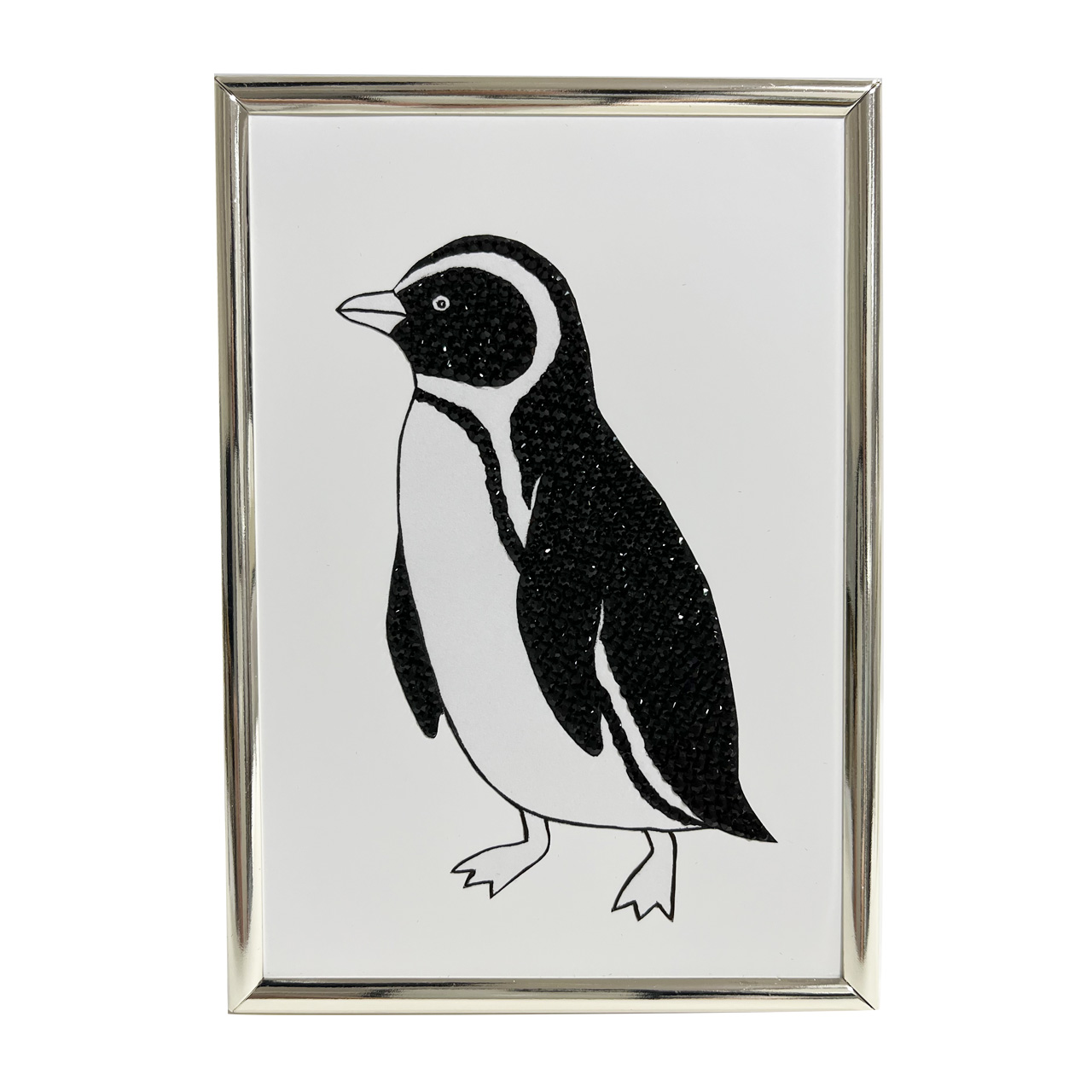 Magellanic Penguin